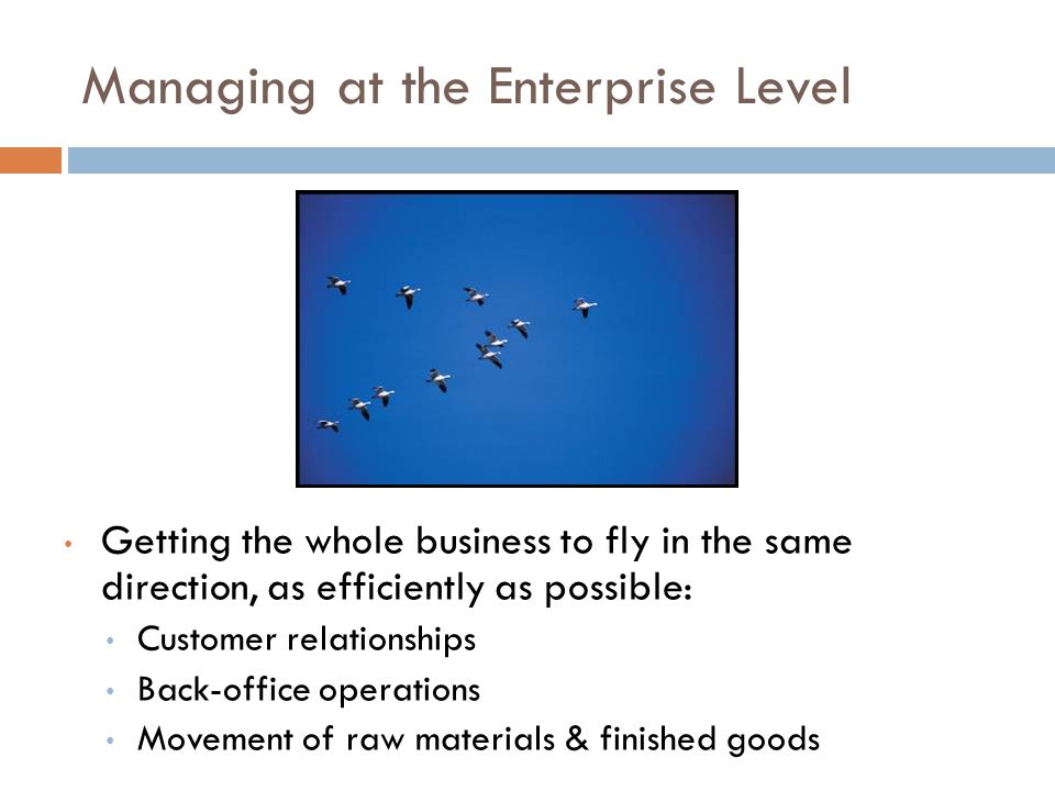 Managing at the Enterprise Level