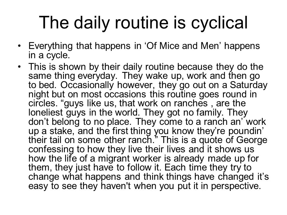 The daily routine is cyclical