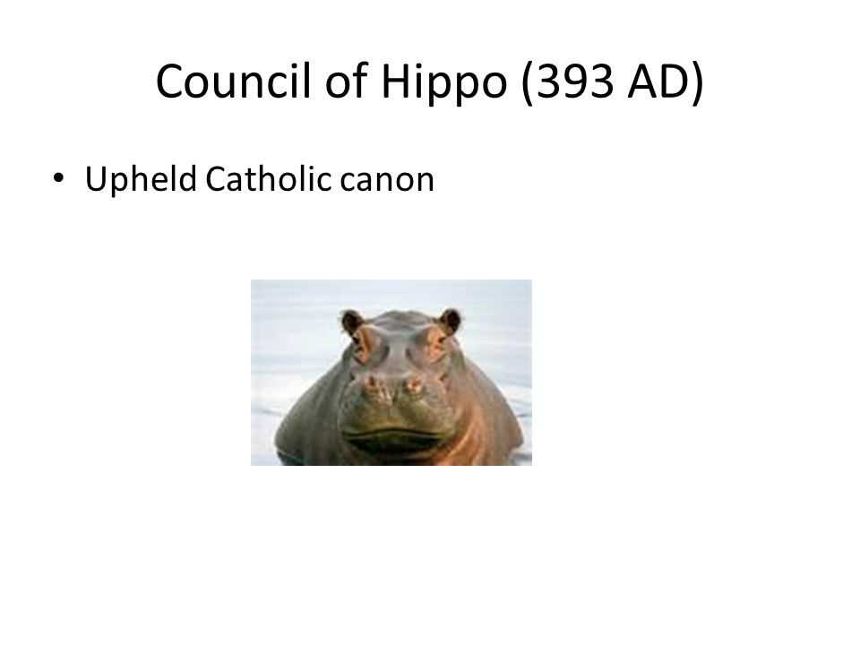 Council of Hippo (393 AD) Upheld Catholic canon