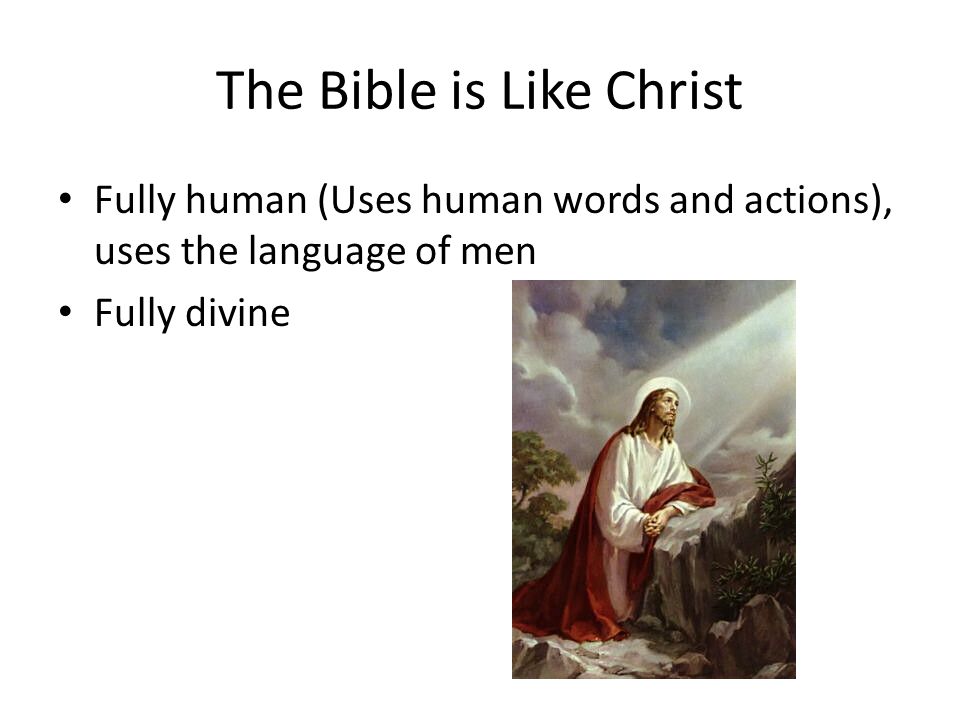 The Bible is Like Christ