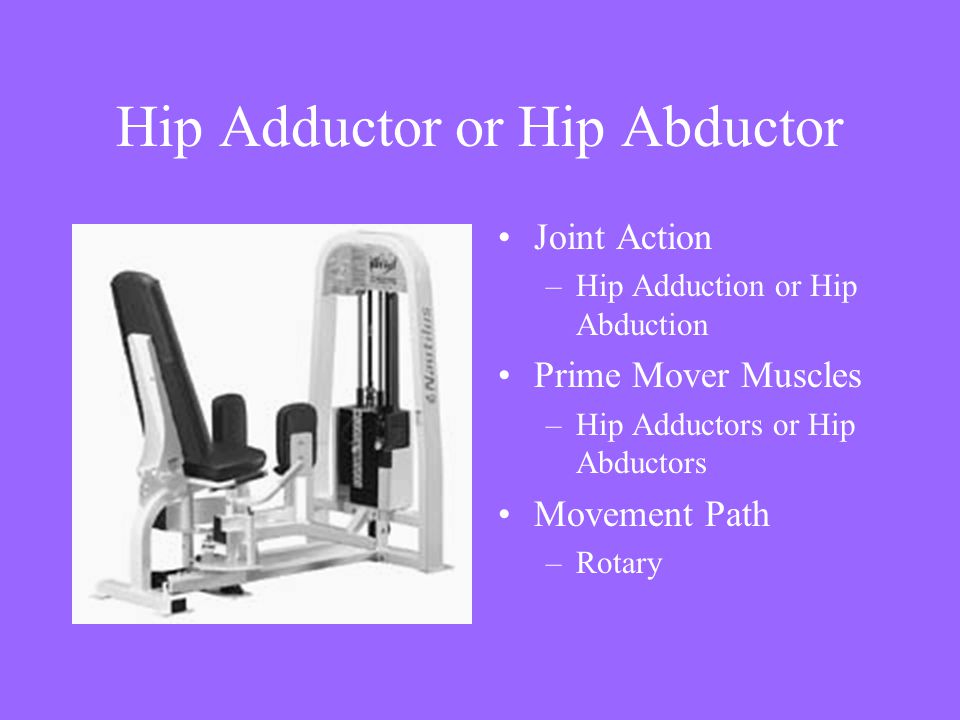 Hip Adductor or Hip Abductor