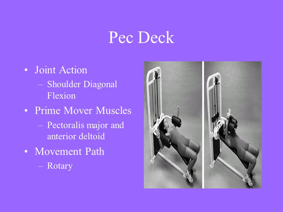 Pec Deck Joint Action Prime Mover Muscles Movement Path