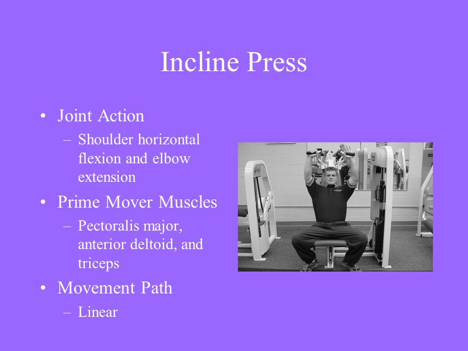 Incline Press Joint Action Prime Mover Muscles Movement Path