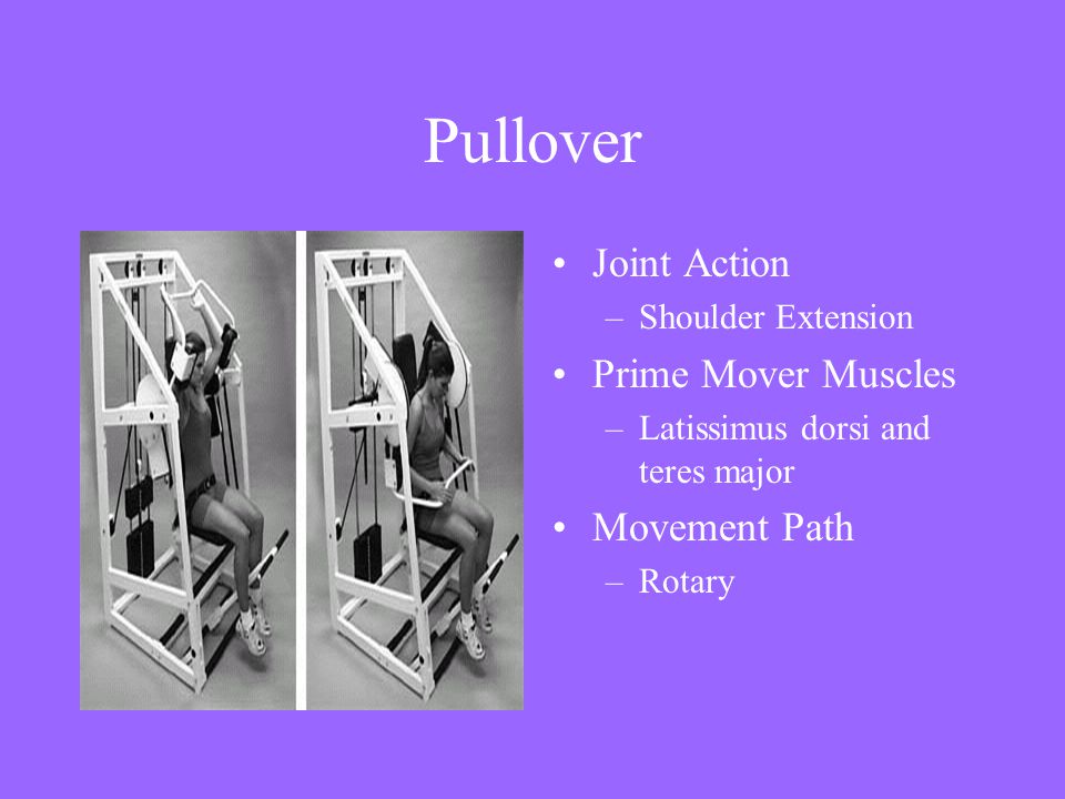 Pullover Joint Action Prime Mover Muscles Movement Path