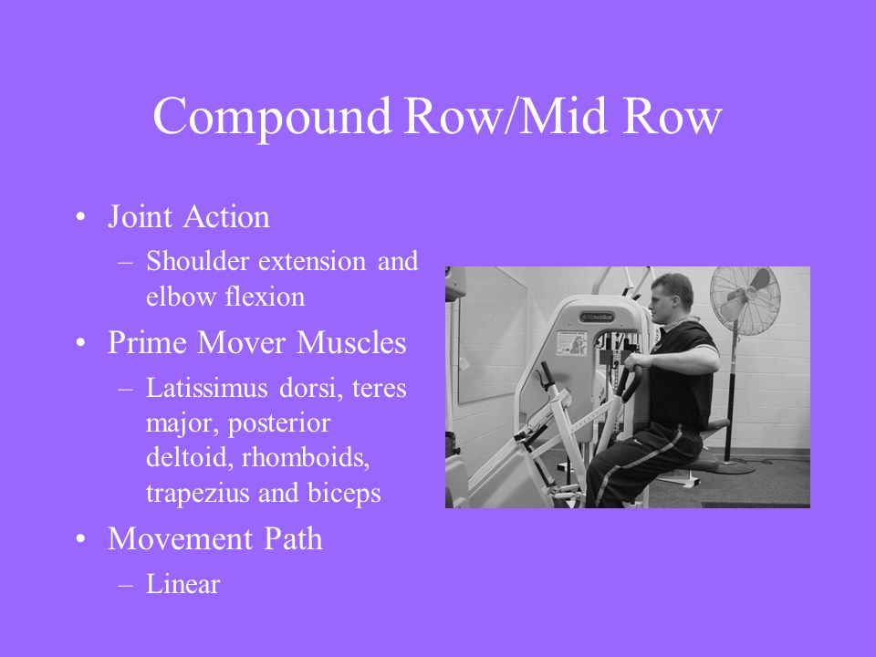 Compound Row/Mid Row Joint Action Prime Mover Muscles Movement Path