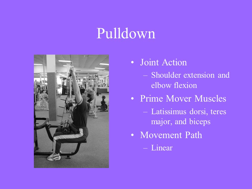 Pulldown Joint Action Prime Mover Muscles Movement Path