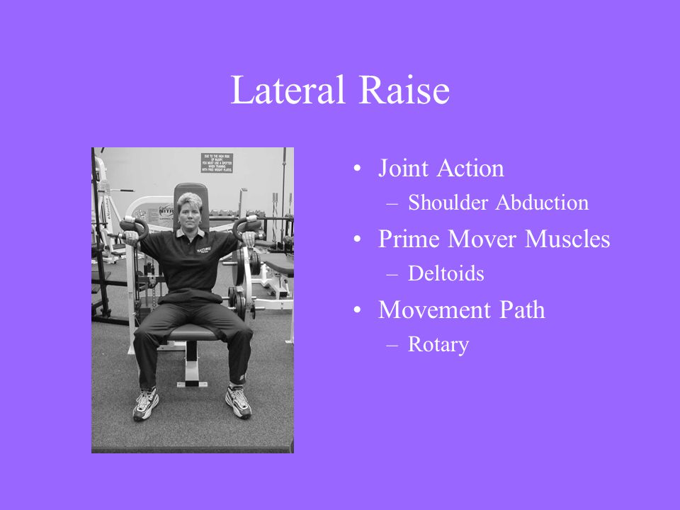 Lateral Raise Joint Action Prime Mover Muscles Movement Path