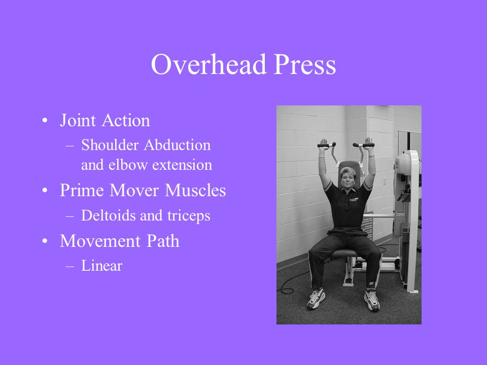 Overhead Press Joint Action Prime Mover Muscles Movement Path