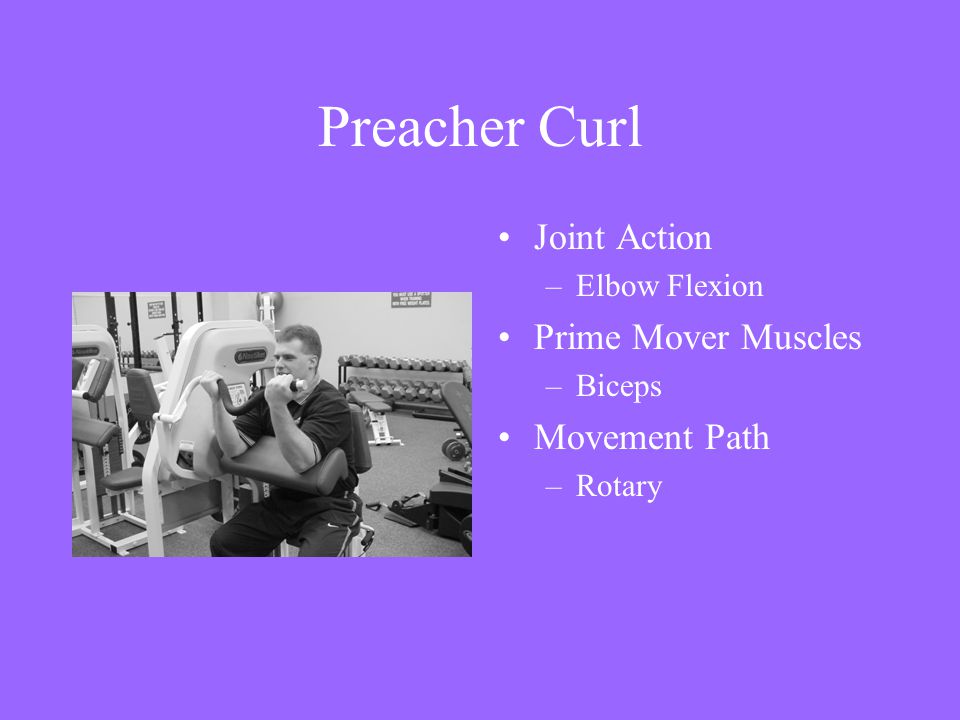 Preacher Curl Joint Action Prime Mover Muscles Movement Path