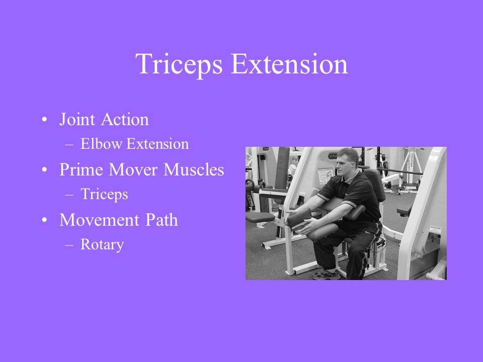 Triceps Extension Joint Action Prime Mover Muscles Movement Path
