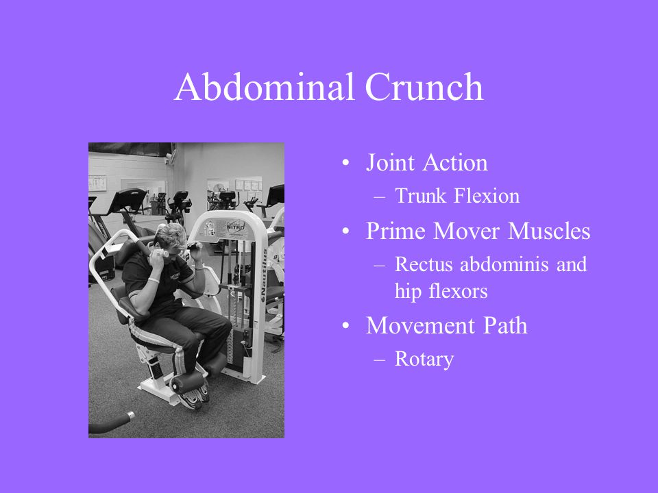 Abdominal Crunch Joint Action Prime Mover Muscles Movement Path