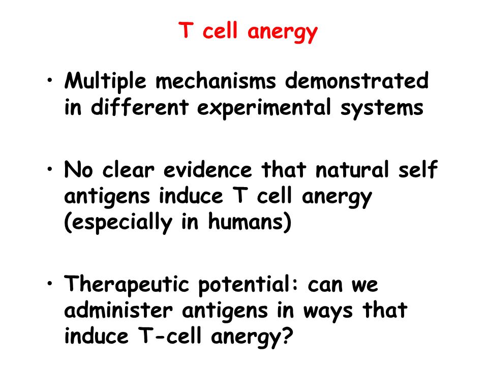 T cell anergy Multiple mechanisms demonstrated in different experimental systems.