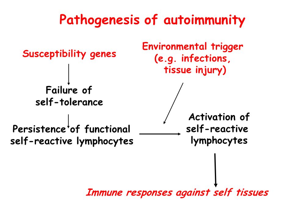 Pathogenesis of autoimmunity