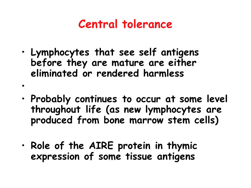 Central tolerance Lymphocytes that see self antigens before they are mature are either eliminated or rendered harmless.