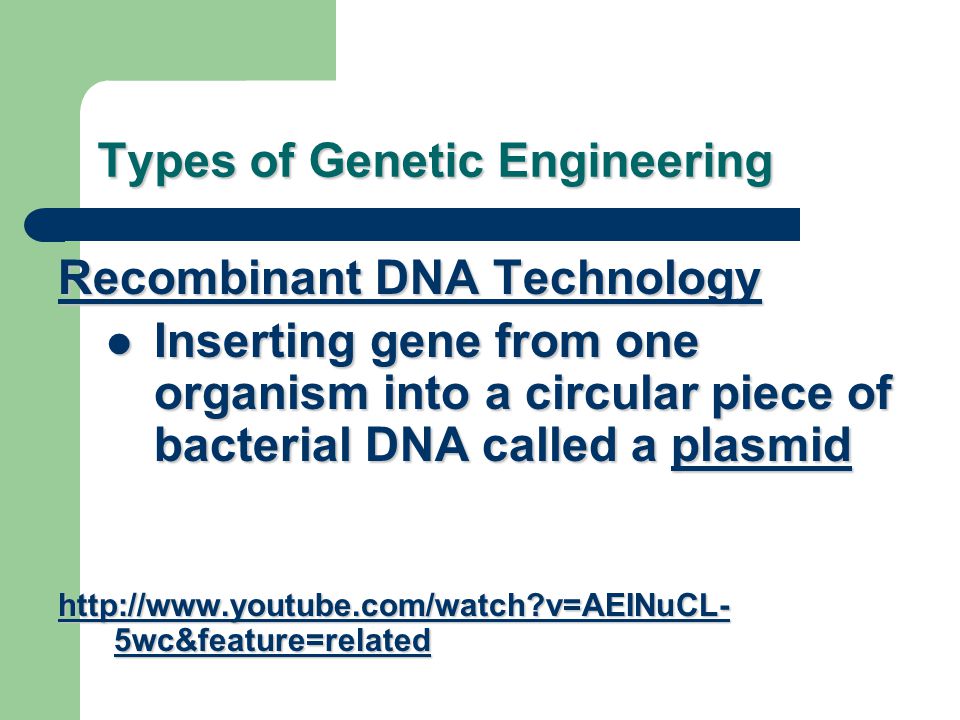 Types of Genetic Engineering