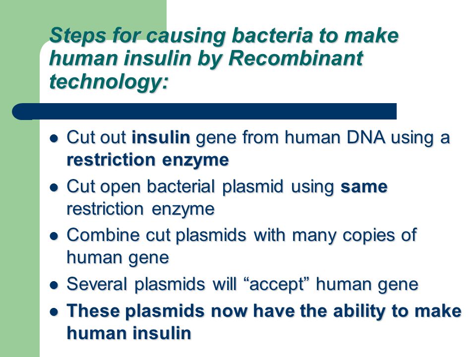 Steps for causing bacteria to make human insulin by Recombinant technology: