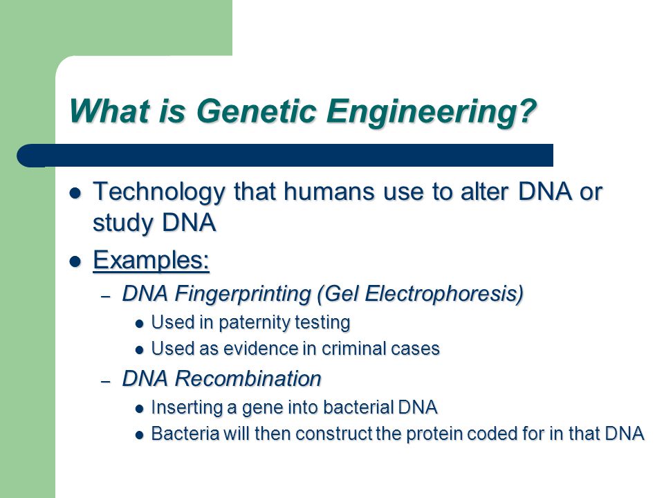 What is Genetic Engineering