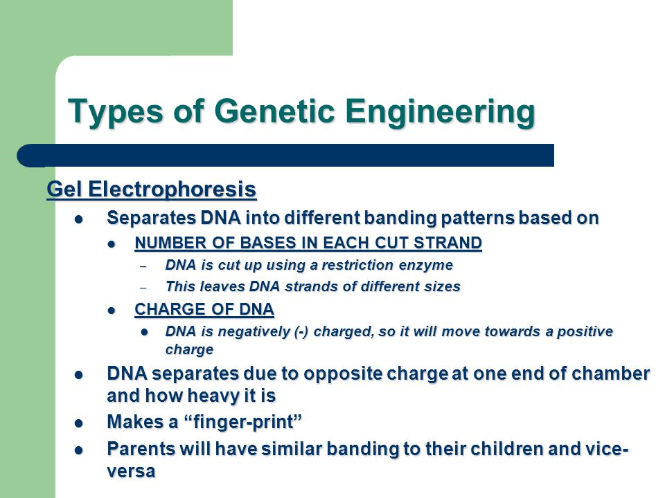 Types of Genetic Engineering