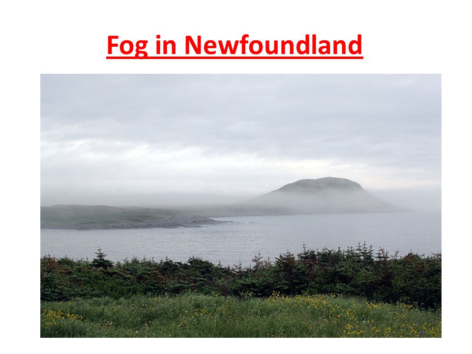 Fog in Newfoundland