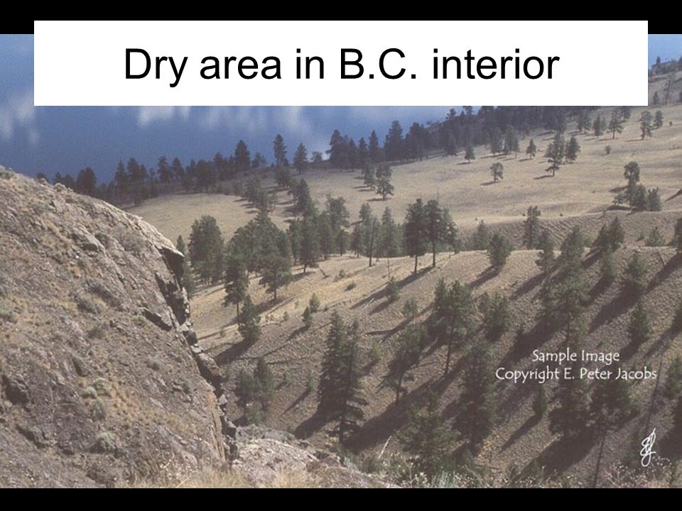 Dry area in B.C. interior