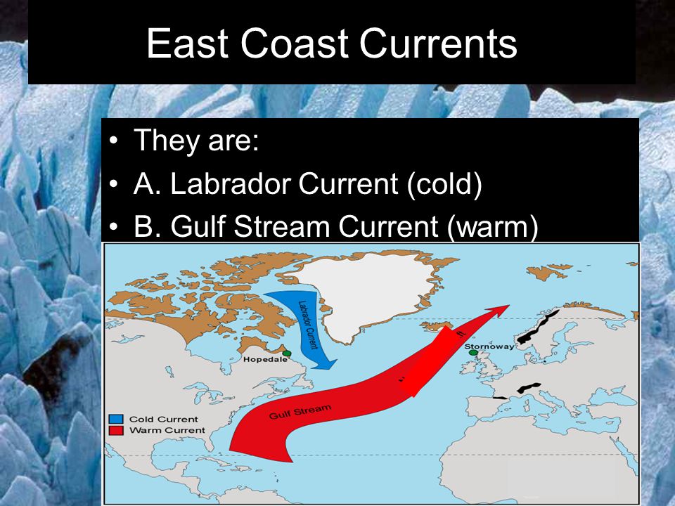 East Coast Currents They are: A. Labrador Current (cold)