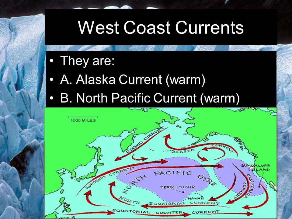 West Coast Currents They are: A. Alaska Current (warm)