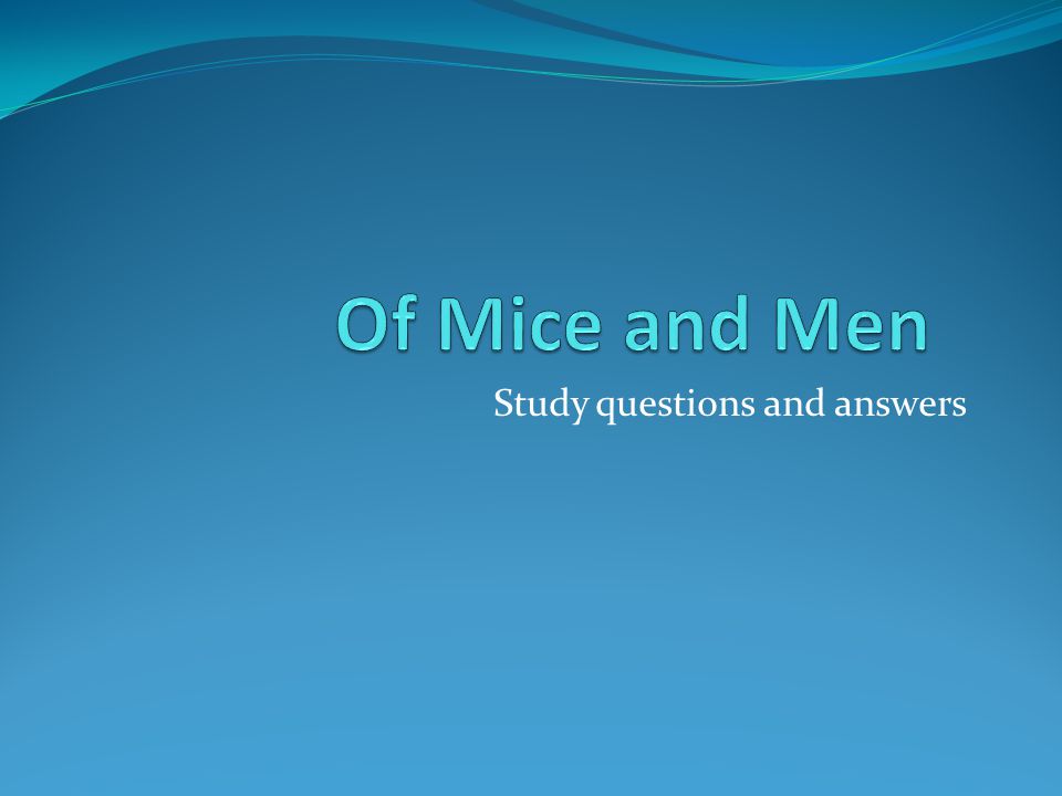 Study questions and answers