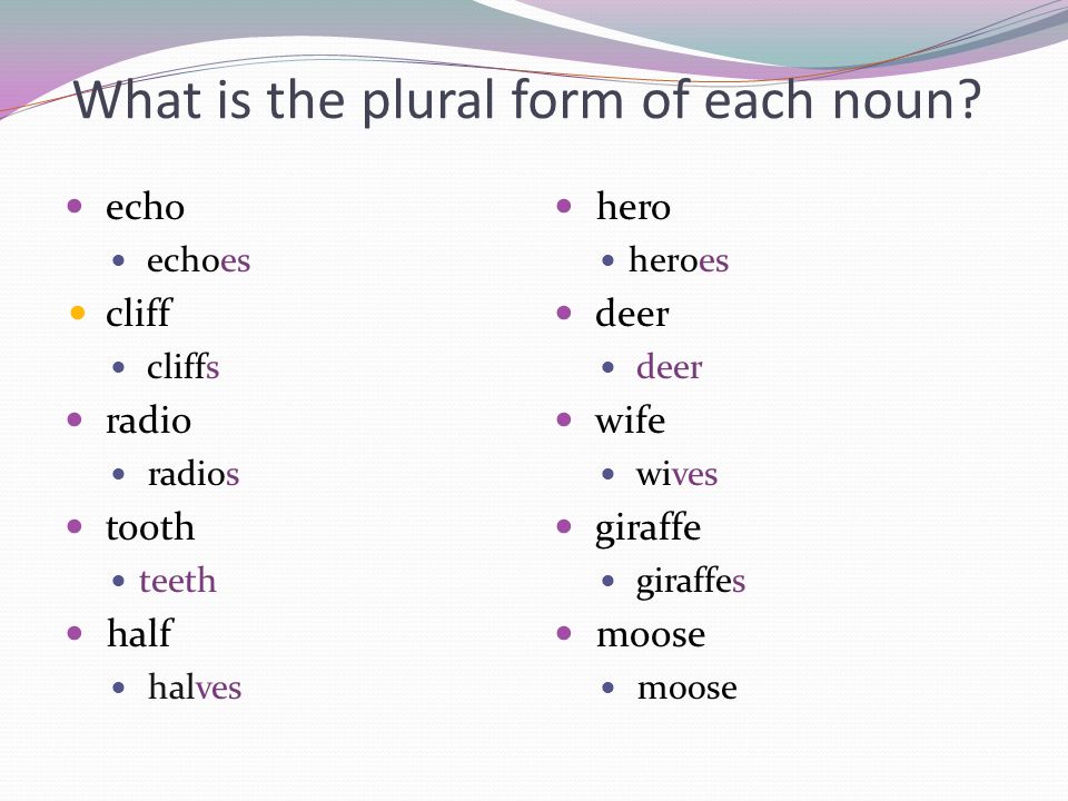 What is the plural form of each noun