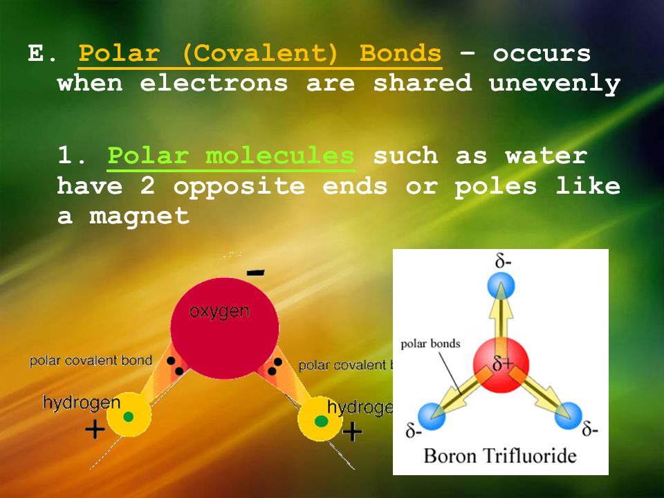 E. Polar (Covalent) Bonds – occurs when electrons are shared unevenly 1.