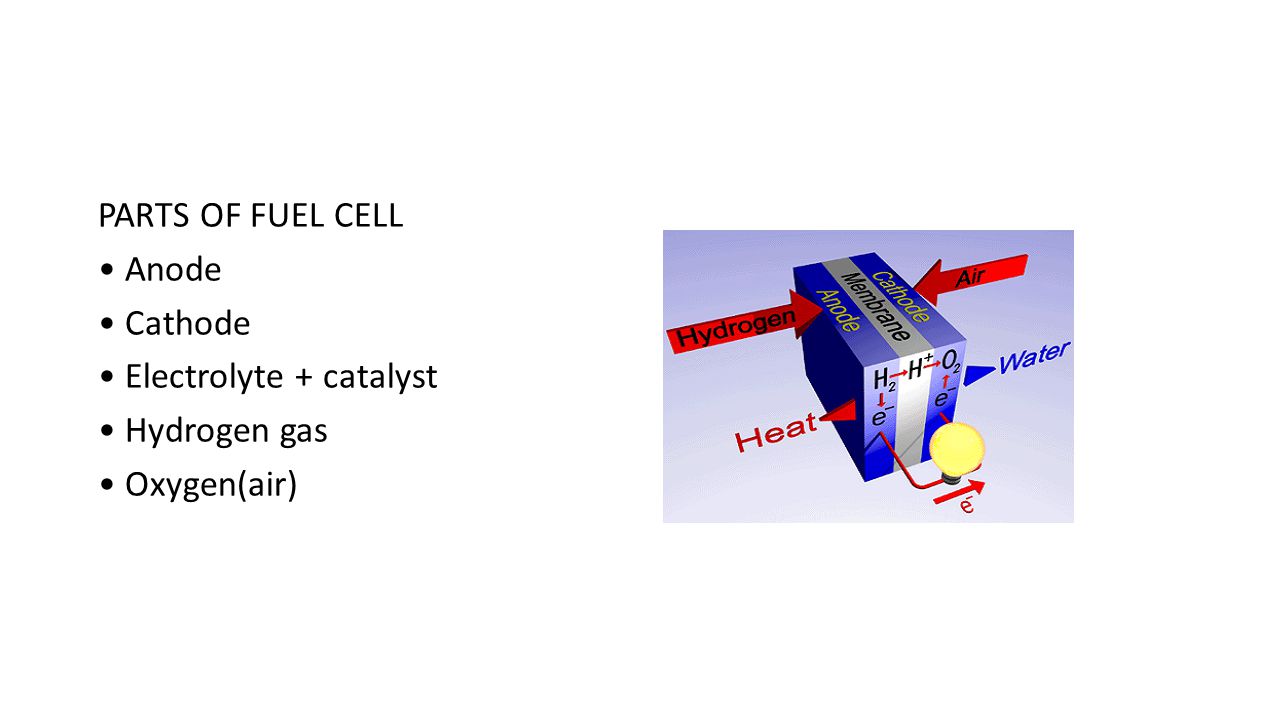 PARTS OF FUEL CELL • Anode • Cathode • Electrolyte + catalyst • Hydrogen gas • Oxygen(air)