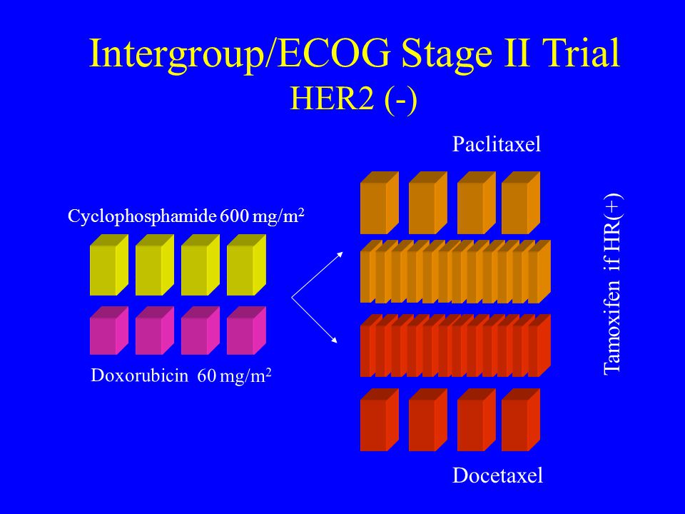 Intergroup/ECOG Stage II Trial HER2 (-)