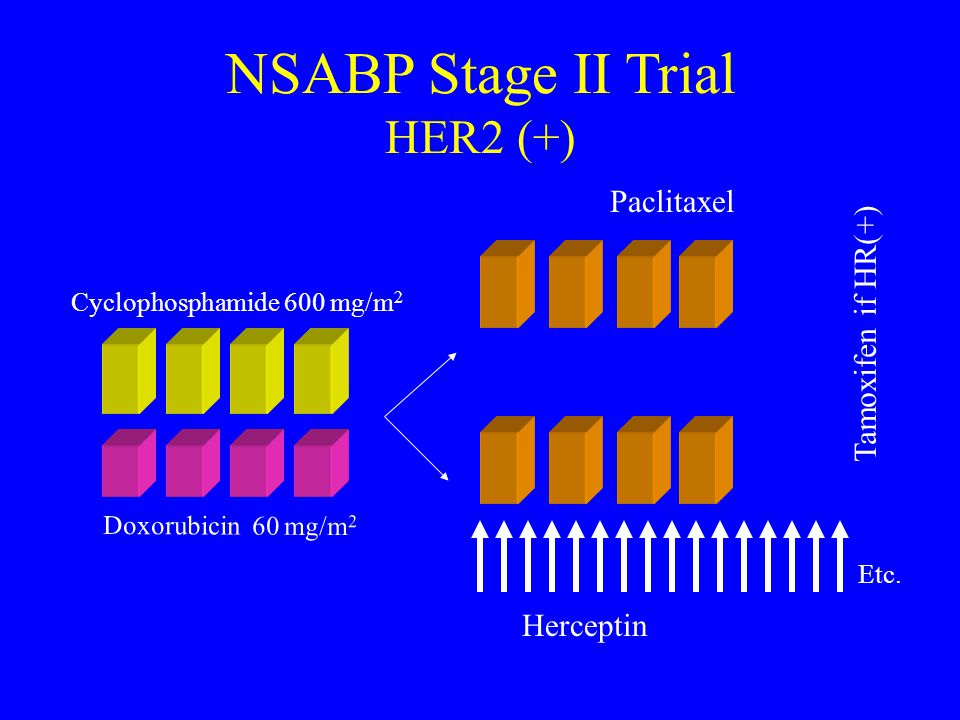 NSABP Stage II Trial HER2 (+)