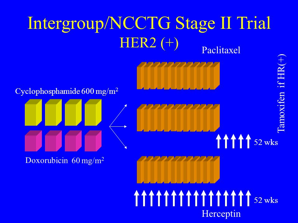 Intergroup/NCCTG Stage II Trial HER2 (+)