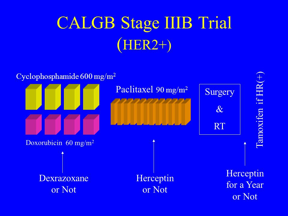 CALGB Stage IIIB Trial (HER2+)