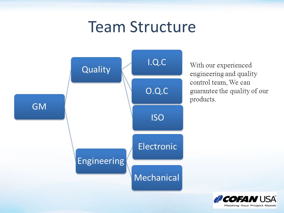 Team Structure GM. Quality. ISO. I.Q.C. O.Q.C. Engineering. Electronic. Mechanical.