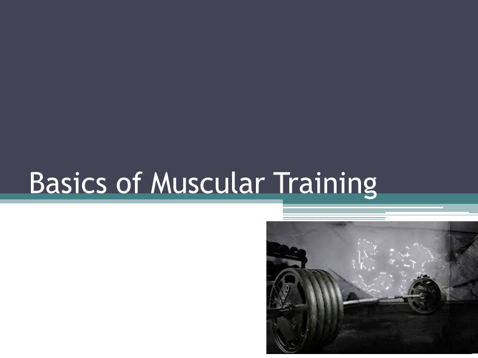 Basics of Muscular Training