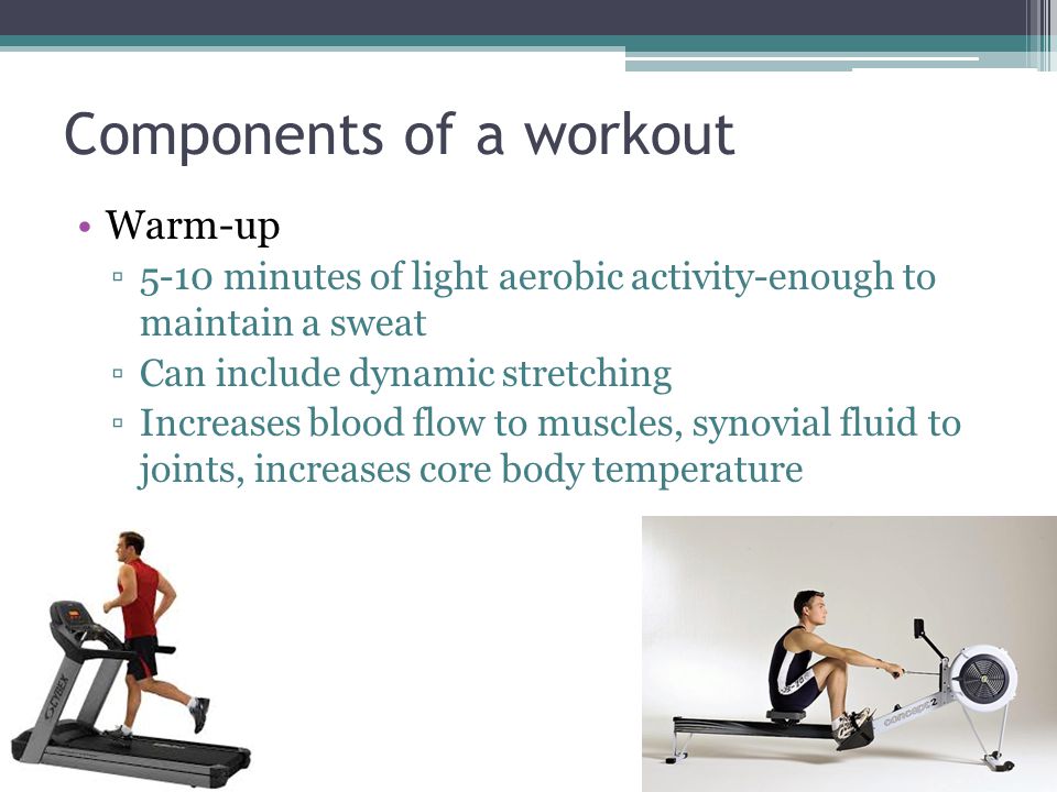 Components of a workout