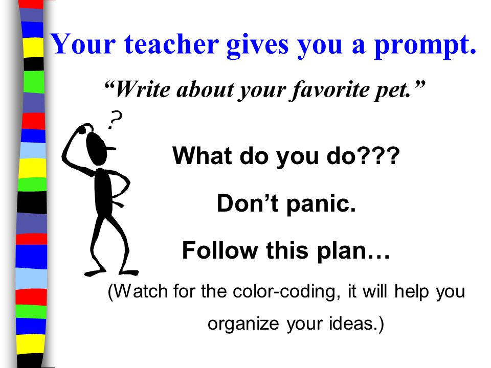 Your teacher gives you a prompt. Write about your favorite pet.