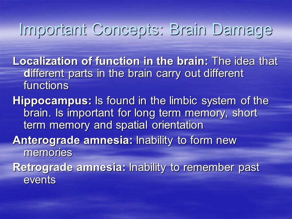 Important Concepts: Brain Damage