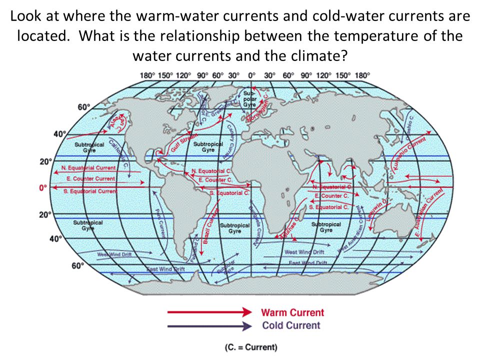 Look at where the warm-water currents and cold-water currents are located.