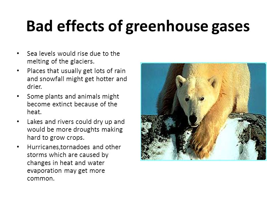 Bad effects of greenhouse gases