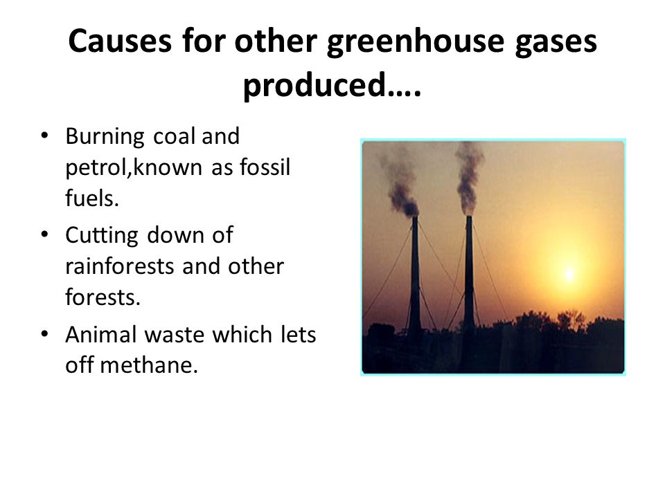 Causes for other greenhouse gases produced….