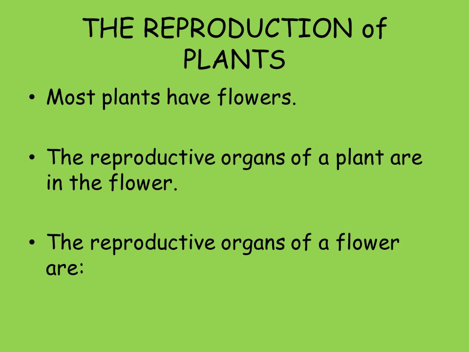 THE REPRODUCTION of PLANTS