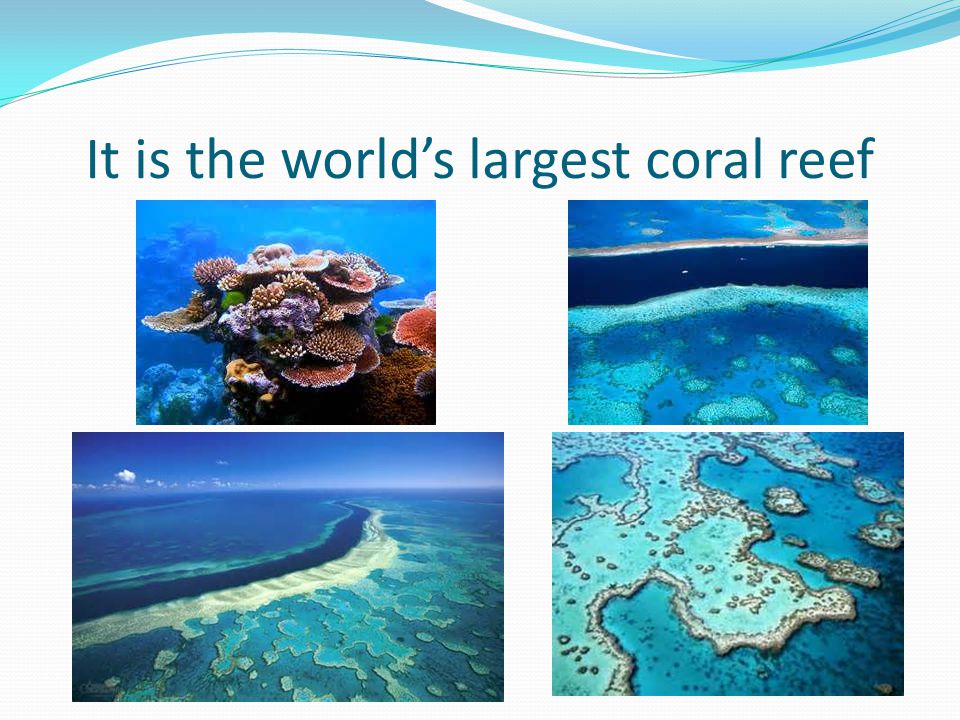 It is the world’s largest coral reef