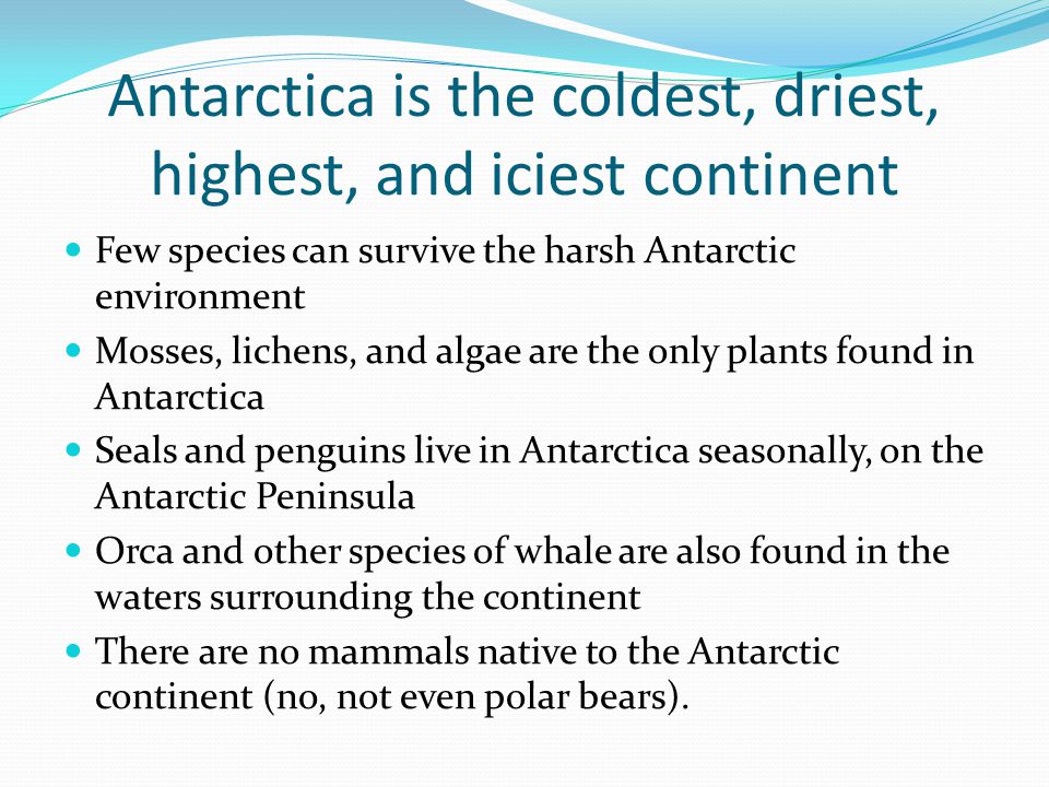 Antarctica is the coldest, driest, highest, and iciest continent