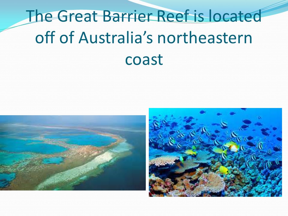 The Great Barrier Reef is located off of Australia’s northeastern coast