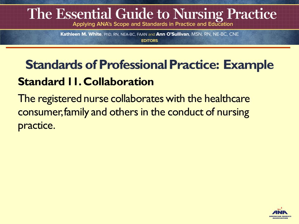 Standards of Professional Practice: Example