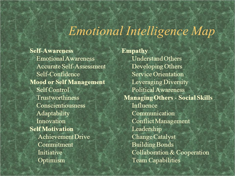 Emotional Intelligence Map