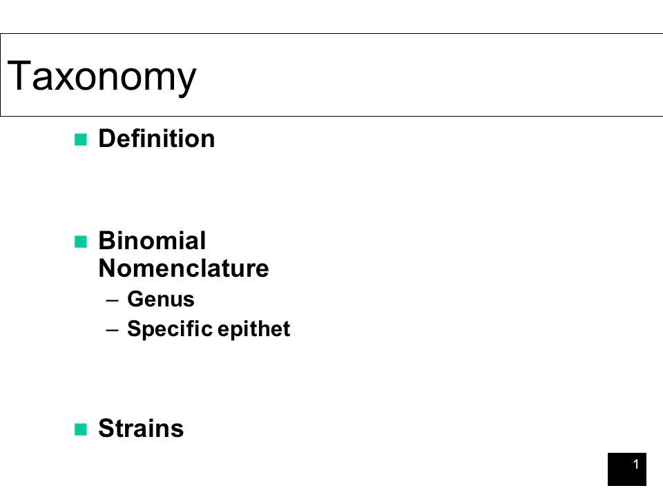 genus definition