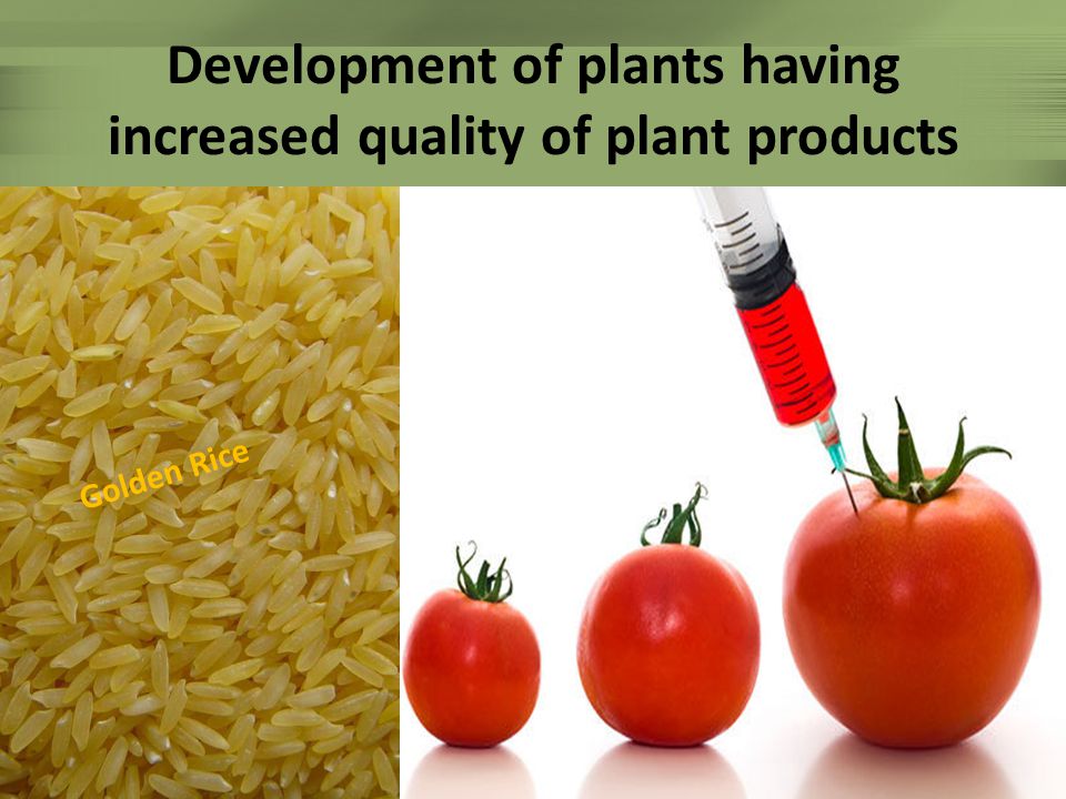 Development of plants having increased quality of plant products
